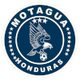 摩塔瓜后備