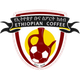 埃塞俄比亞咖啡