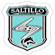 薩蒂略FC